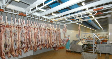Дезинсекция на мясокомбинате в Истре, цены на услуги