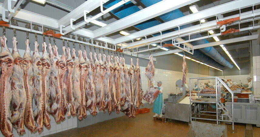 Дезинсекция на мясокомбинате в Истре, цены на услуги